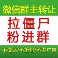 微信群拉纯僵尸粉、代拉死号、假人